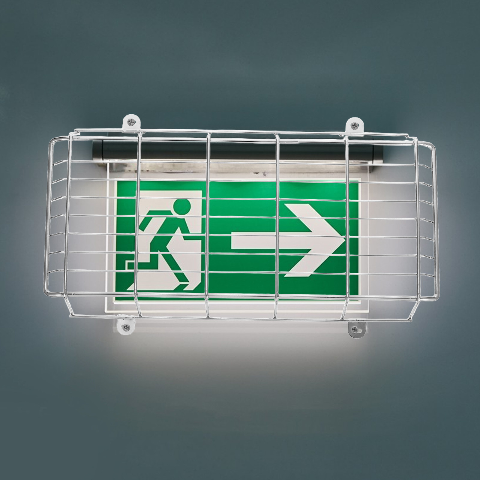 ชุดป้ายทางออกติดผนังพร้อมกรงลว - Emergency Exit Sign บทวิจารณ์และราคา